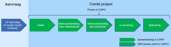 CAPO proces.jpg